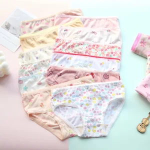 12pcs Underwear Girls Briefs 2-5yrs